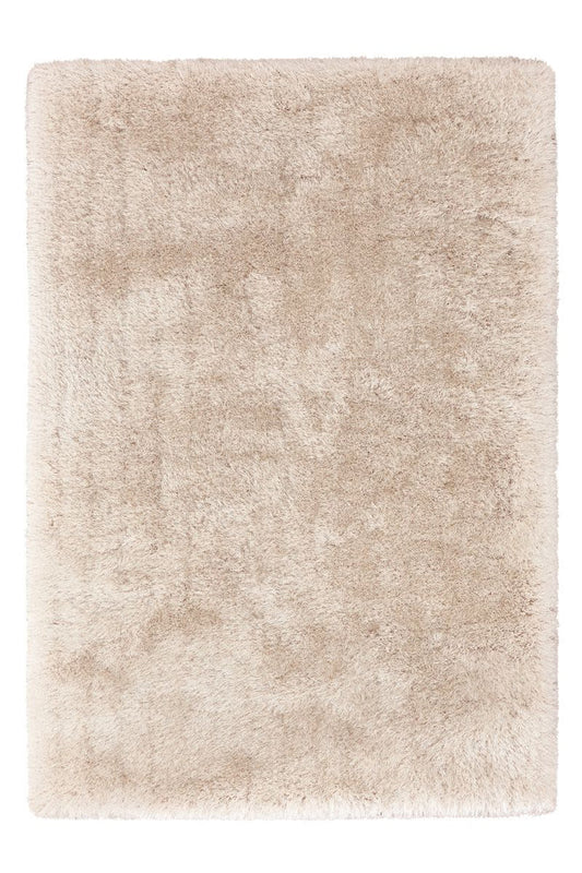 Cozy Carpet